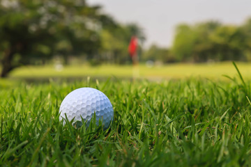Golf ball on green grass