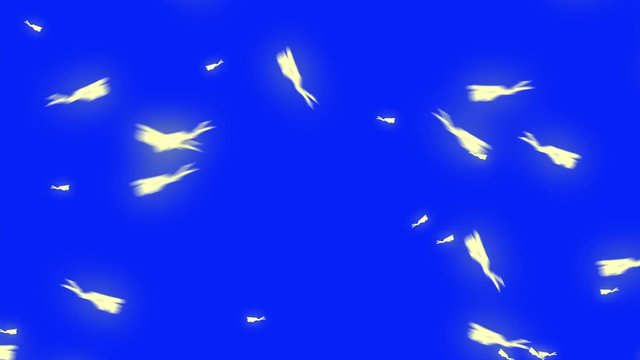 Fairies Flying on a Blue Screen Background