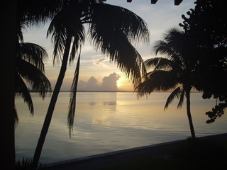 Sunrise Grove Island FL