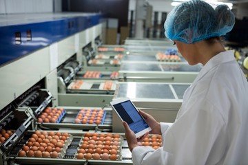 Female staff using digital tablet next to production line