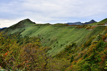 Obraz premium 色づき始めの瓶ヶ森林道東黒森付近(2016年10月)