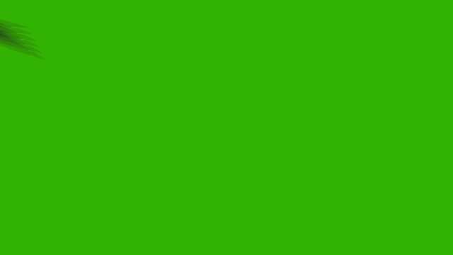 Throwing Knife in Differant Position on a Green Screen Background
