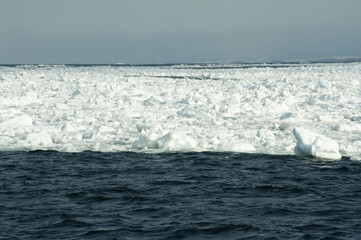 winter ice flow © photoeverywhere