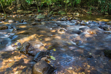 Background Picture of trees and water flows through rocky path o