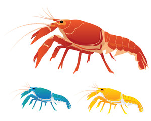 lobster vector design