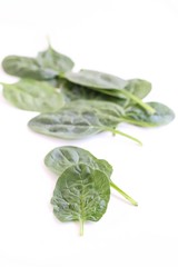 Fresh Baby Spinach on White Background