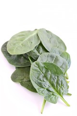 Fresh Baby Spinach on White Background