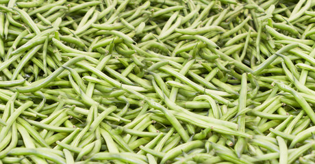 Green beans also known as string bean, snap bean.