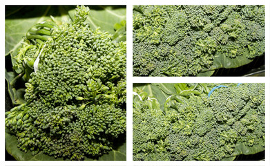 Broccoli is a healthy eating plant in the cabbage family, whose large flower head is used as a vegetable. Broccoli has large green color flower heads arranged in a tree-like structure on branches.