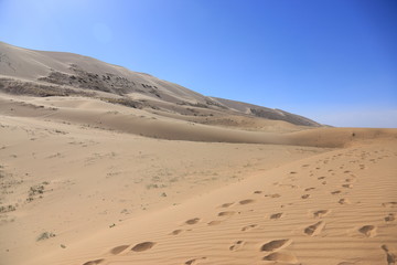Fototapeta na wymiar Sand dunes. Gobi Desert, Mongolia