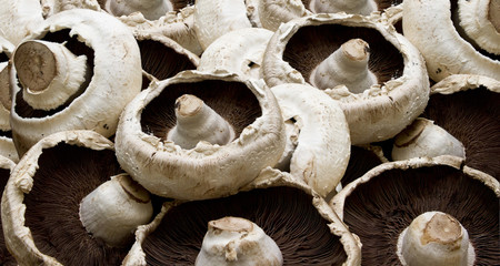 Flat mushrooms displayed in vegetable shop