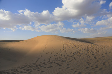 Fototapeta na wymiar and dunes in Gobi desert. South of Mongolia