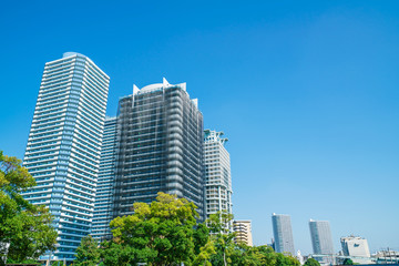 Fototapeta premium マンション・防鳥ネット