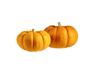 Two Small Pumpkins isolated on White