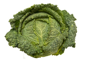 savoy cabbage isolated over white background