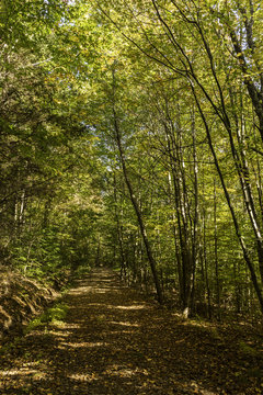 Shaverton Trail © lightphoto2