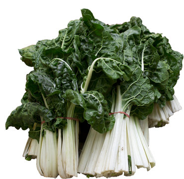 Silver beet spinach
