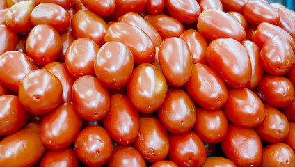 Close-up view of fresh tomatoes. Young juicy tomatoes. A lot of tomatoes. Heap of tomatoes. Summer agriculture farm market tray full of organic tomatoes. Fresh tomatoes. Above colorful fresh tomatoes.