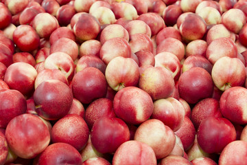 White flesh nectarine close up. Early morning in farmers market. Colorful fruit background 