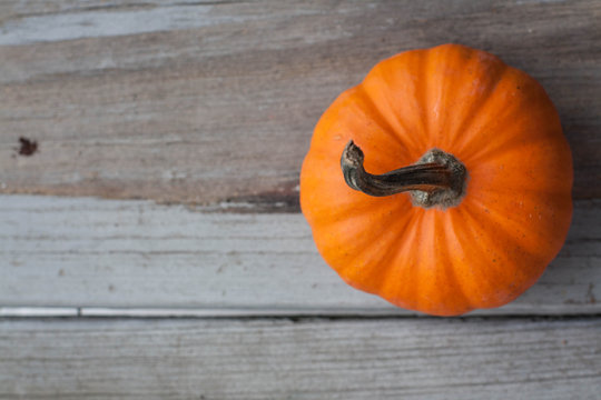 A pumpkin on a rustic wooden background 