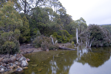vegitation and rocks at the side of a calm lake