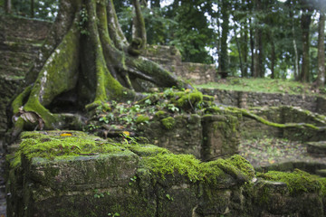 Ruins of Palenque, Maya city in Chiapas, Mexico