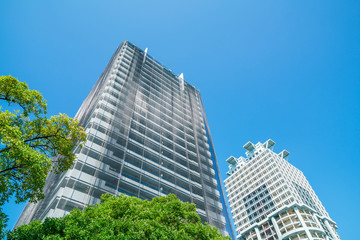 Fototapeta premium マンション・防鳥ネット