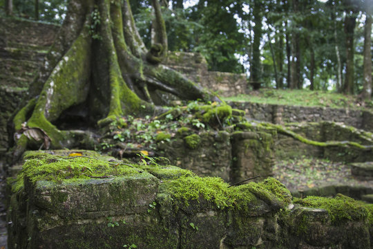 Ruins of Palenque, Maya city in Chiapas, Mexico