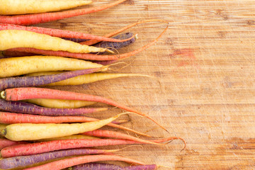 Border of colorful varieties of fresh carrots