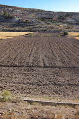 Champs en Andalousie, Espagne