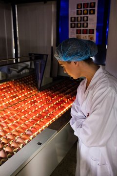 Female staff examining eggs in lighting control quality