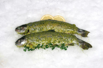 Forelle Provence Fischgericht auf Eis mit Deko