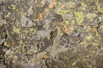 Old painted wall / Old and peeled creaky paint , In course of time the paint of white tone peeled off the old planks and crackled, wood texture, background, colorful, cracks in the paint