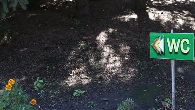 green wc sign in a park