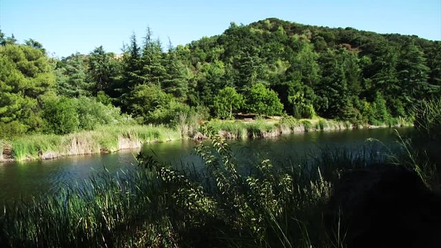 Joshua Tree park, wide shot of river.