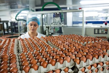Female worker examining eggs in factory