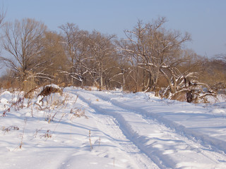 Field road in the winter
