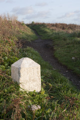 Milestone marker