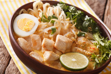 Asian Laksa soup with chicken, egg, noodles, sprouts and coriander. Horizontal