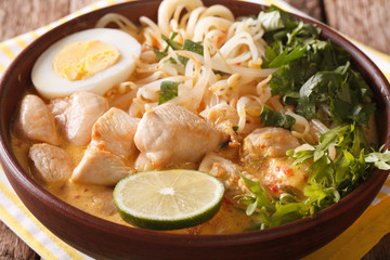 Laksa soup with chicken, egg, rice noodles, bean sprouts and coriander close-up. horizontal