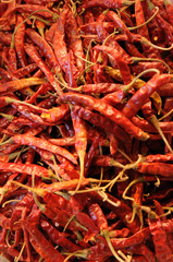 Laos: Red Hot Chili Pepper auf dem Markt von Pakse