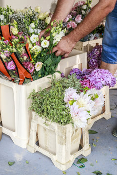Flower wholesale business