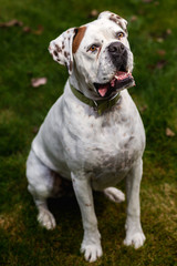 Fototapeta premium Neo