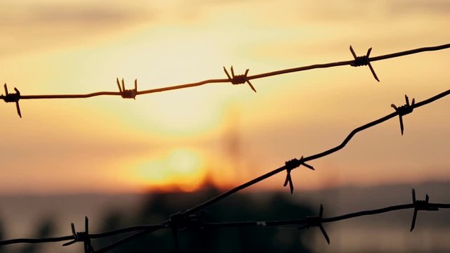 barbed wire prison sunset orange background