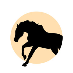 Black horse silhouette vector illustration