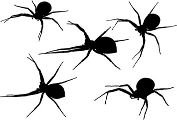 five small black spiders illustration