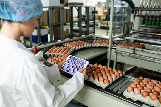 Female staff tacking picture of egg cartons on digital table