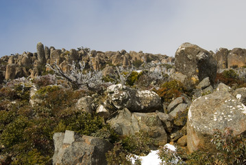 frosty landscape