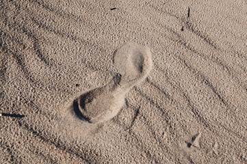 Fototapeta na wymiar Shoe print on sandy beach.