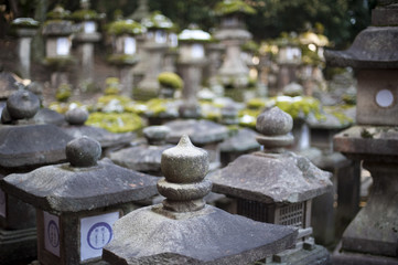 Kasuga Taisha Stone Lanterns